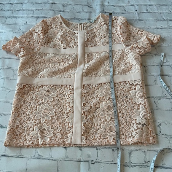 Rebecca Minkoff lace floral sheer zip up blouse top size L - Picture 12 of 12
